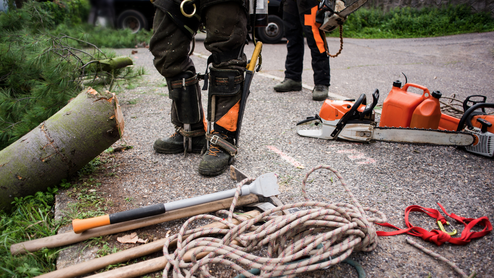 Chainsaw Safety