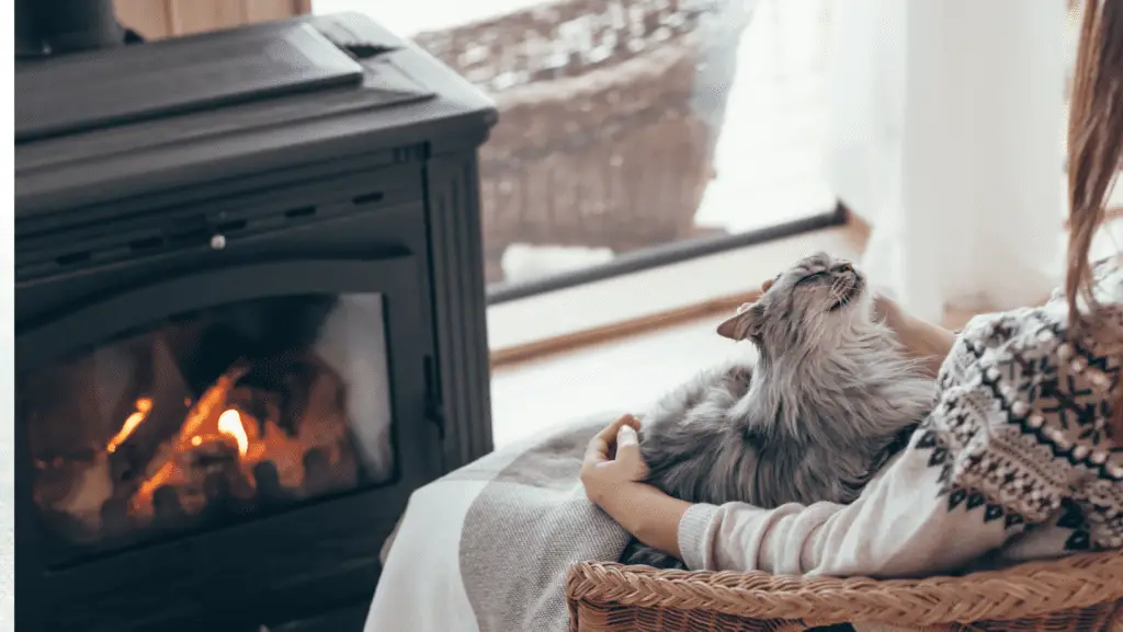 Wood Burner and Cat