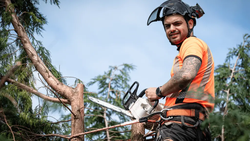 Tree Surgeon Cutting Tree