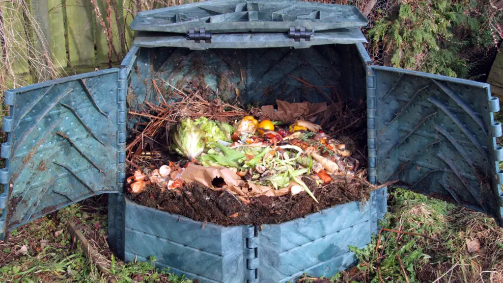 Compost Bin Open With Food On Top