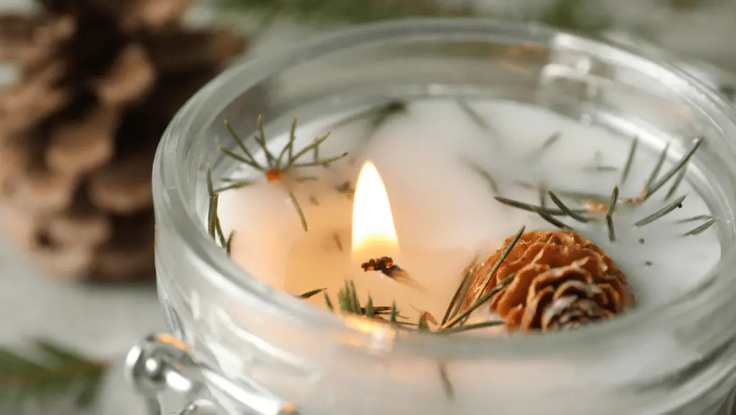 Candle Wax Pine Cone